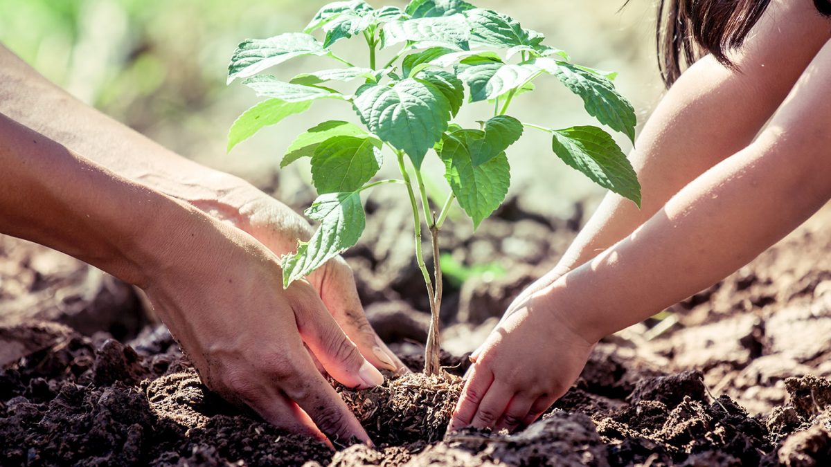 DTM e a sustentabilidade no universo odontológico