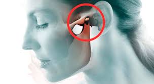 Onde Fica a Articulação Temporomandibular (ATM)?